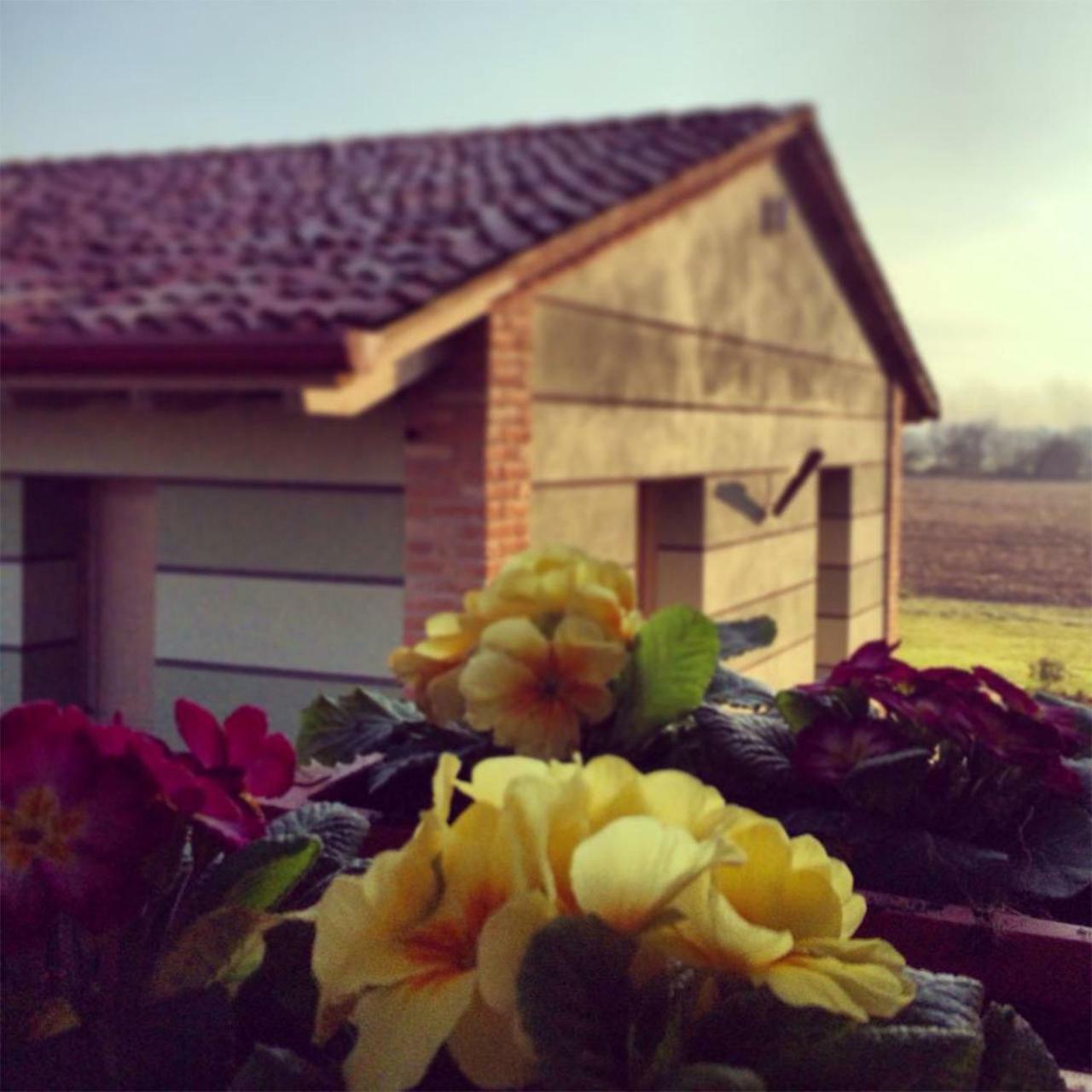 Agriturismo Bassanine Monticelli d'Ongina Luaran gambar
