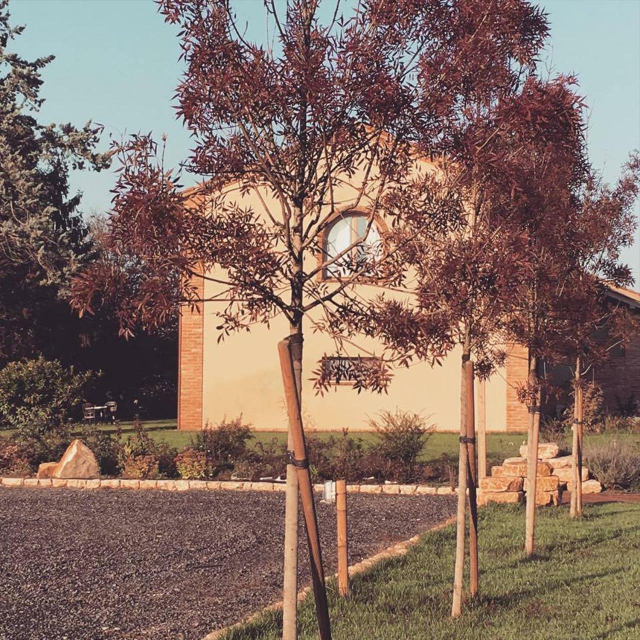 Agriturismo Bassanine Monticelli d'Ongina Luaran gambar